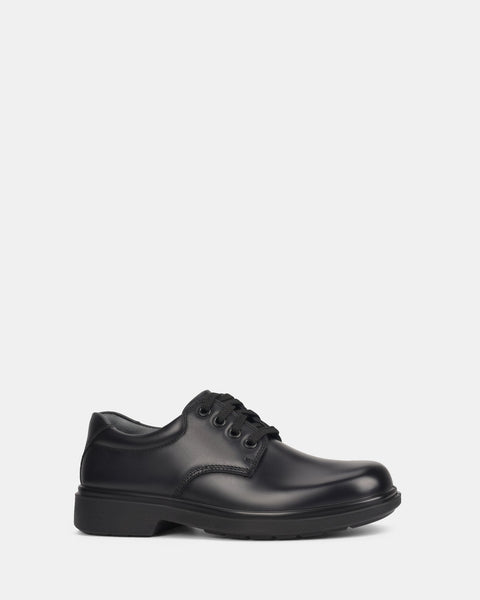 Harrison Daytona Senior Black in F