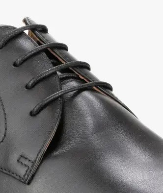 Rucci Plain