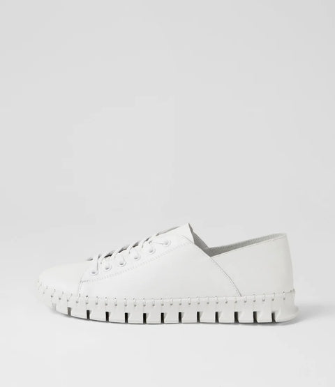 Kayodes